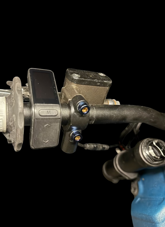 Ultra Bee Brake Mount Titanium Bolts