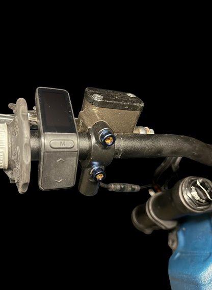 Ultra Bee Brake Mount Titanium Bolts