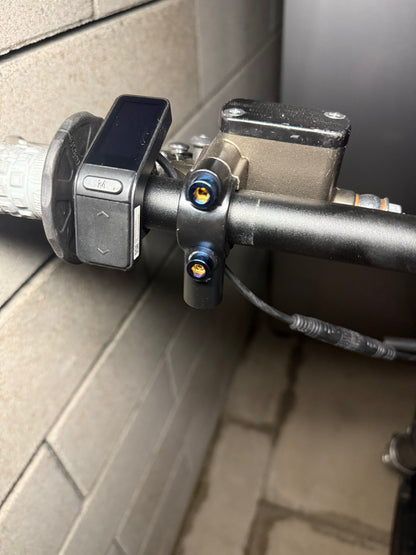 Ultra Bee Brake Mount Titanium Bolts