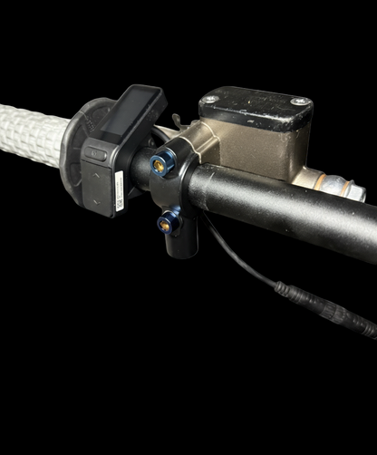 Ultra Bee Brake Mount Titanium Bolts